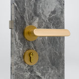 AK MORTISE DOOR LOCK SET - DS110