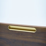 RCS019 - RECESSED PULL