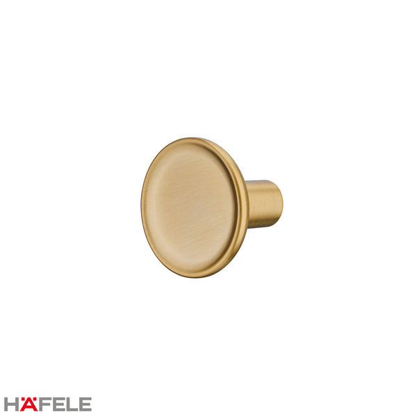 H2580 CABINET KNOB